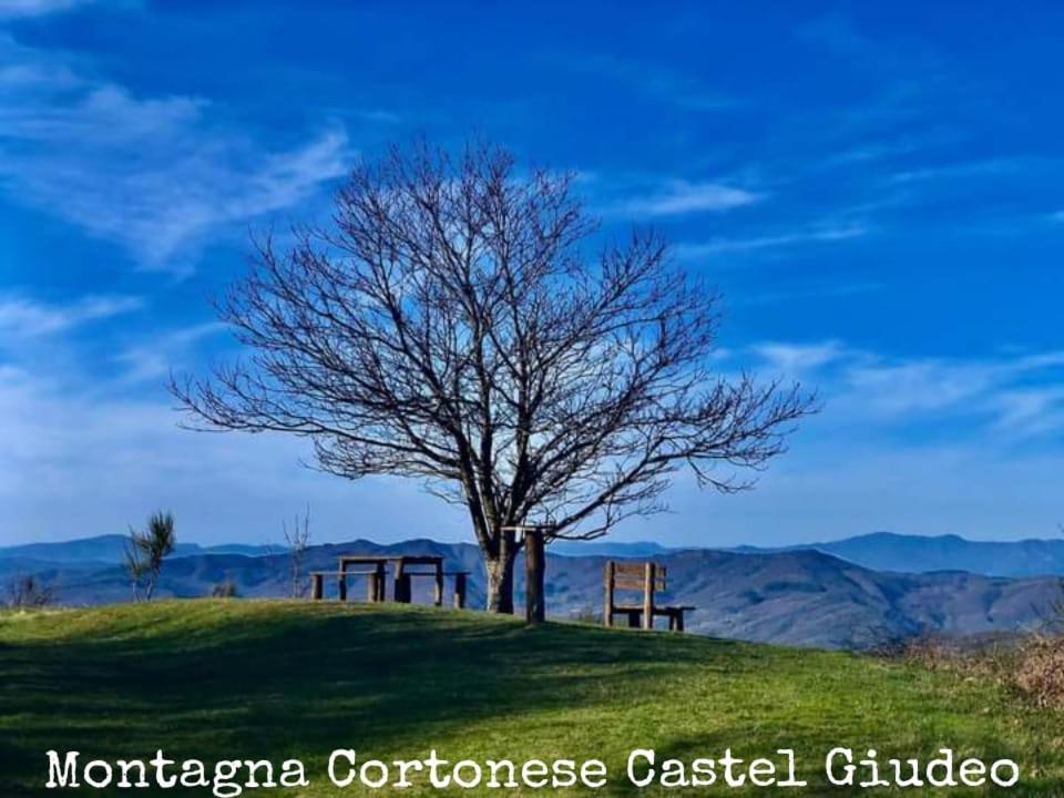 Tenuta La Scure La Cappella Villa Cortona Exterior foto